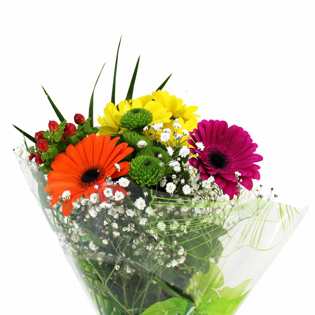 FeedSync:wholesale:a804bcc3628e9f3116090692d59d12a62d187f14