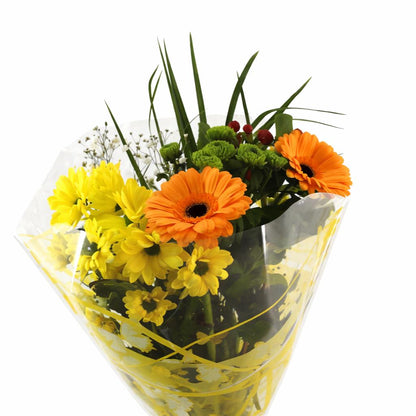 FeedSync:wholesale:db1bb675c25359b85be80be4760f37da667d5f88