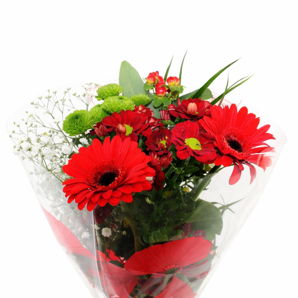 FeedSync:wholesale:16eede61f5ff5ff536a3ee43e7c4212378c2ed48
