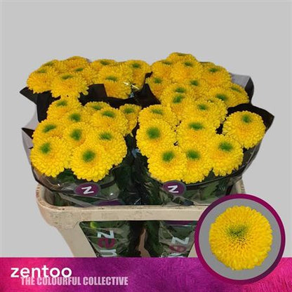 FeedSync:wholesale:44a732014eb7ac3603f02ab5b84fe49d487c99f2