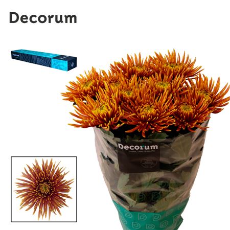 FeedSync:wholesale:6db6e6c0475a8cf0c046534eec7d527762cbcdf5