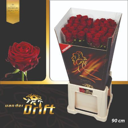 Rose - Rosa - Red Naomi