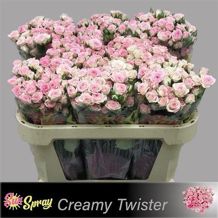 FeedSync:wholesale:b8f6d5261926ebe6d4010bcbfaaffb757c60c8b8