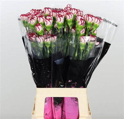 FeedSync:wholesale:1d0a98b31345f22ba0c1db909b20b89a781fe135
