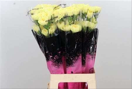 FeedSync:wholesale:9802f20d2f424a35c96430277f2dfea75fc9fd03