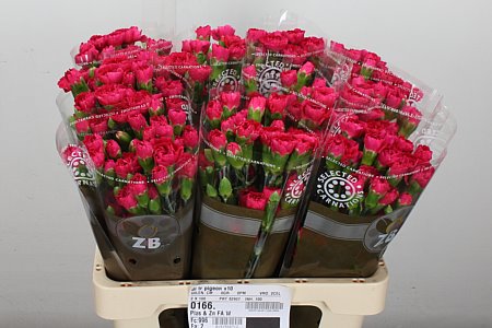 FeedSync:wholesale:b644e3e759a05d28caa9b62622f625df50ca43d9