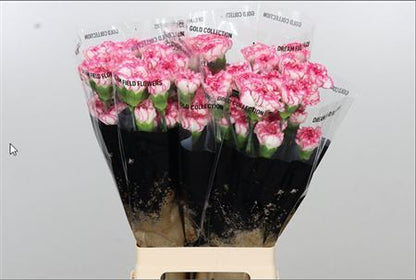 FeedSync:wholesale:22044b2d5e6c20c0c3fed8e02172fd611fe46dbf