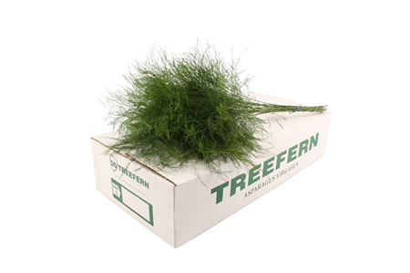 FeedSync:wholesale:7c12830a1dc6df85387c6892536eb90c0c72f780