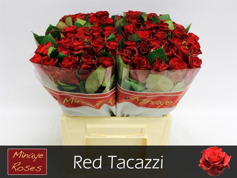 FeedSync:wholesale:c2b4090222b99204d15bdb3d3a4944254aa050db