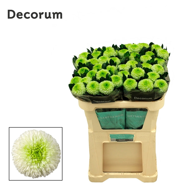 FeedSync:wholesale:42db5b02a5e152cd55943b5543bde8798f8a824d
