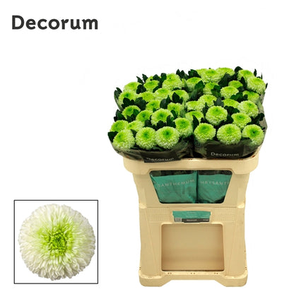 FeedSync:wholesale:42db5b02a5e152cd55943b5543bde8798f8a824d