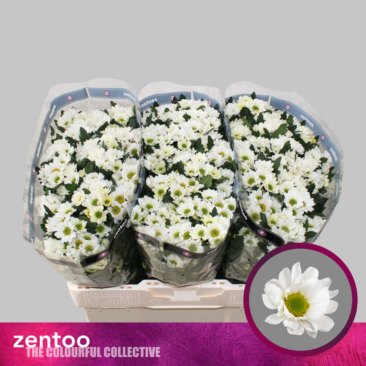 FeedSync:wholesale:edd041502ec2c982907a14f3ec0994b2d567fb09