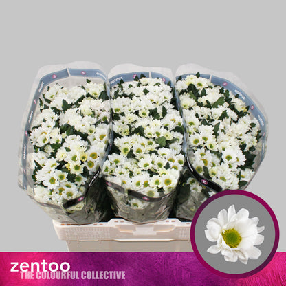 FeedSync:wholesale:edd041502ec2c982907a14f3ec0994b2d567fb09