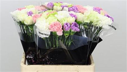 FeedSync:wholesale:a0494b93eb77d1c8ca63c42b11d746e759123d7d