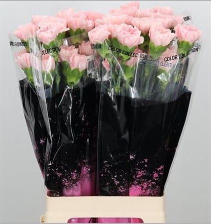 FeedSync:wholesale:db0aab0519ed8dd6c36789a28192d49c4b85187c
