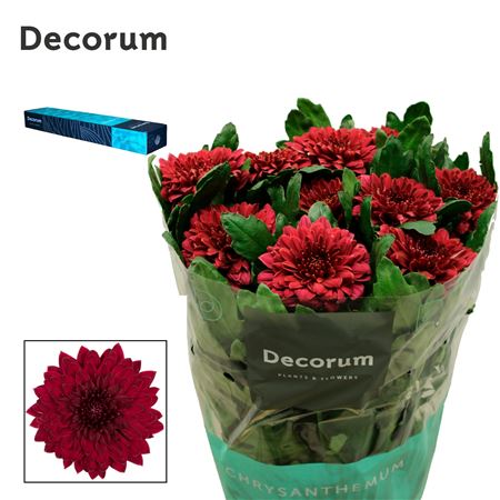 FeedSync:wholesale:0f5d2c58618a4bb1efd72692f1d65d43f54d3de5