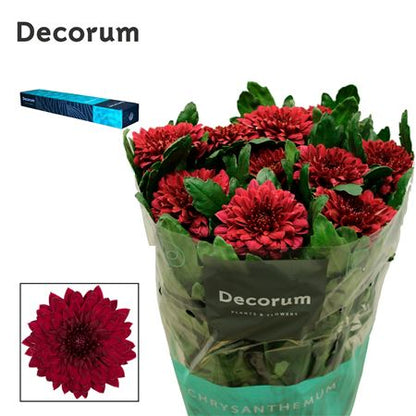 FeedSync:wholesale:0f5d2c58618a4bb1efd72692f1d65d43f54d3de5