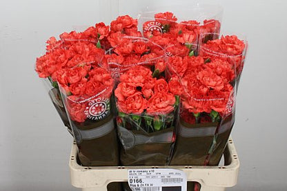 FeedSync:wholesale:419350ba4ca88f9f9d11626358cc1ca31e288fdf