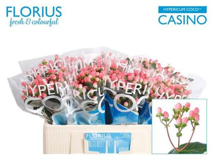 FeedSync:wholesale:8d2335b430848b9945333dcf0d7babe01734bd3d