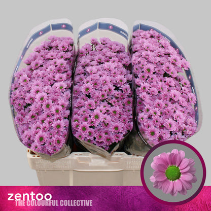 FeedSync:wholesale:ca3a7bcfb58352b9d5b6633ccd4edb0c82385a30