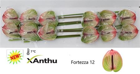 FeedSync:wholesale:6a16de70ce93ab1f92b378284266cb8f4e4910ba