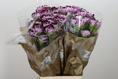 FeedSync:wholesale:344942fe986910fd9228486182ba620182d45537