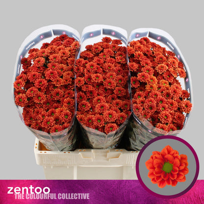 FeedSync:wholesale:07dcdb1cefadf296bd6bbc94c8fbb4d5f376b0a0
