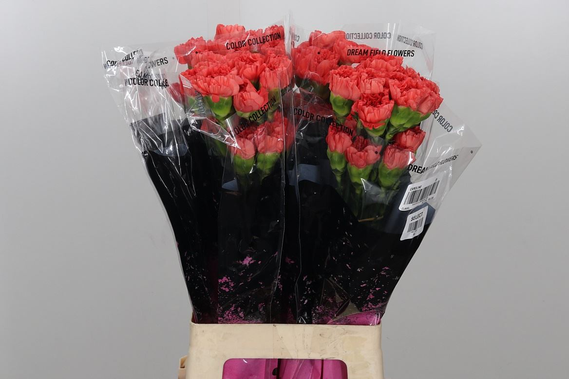 FeedSync:wholesale:b0cde90338a4014ba1379cf00579cadf57b4252a