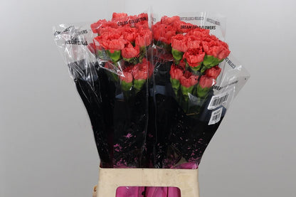 FeedSync:wholesale:b0cde90338a4014ba1379cf00579cadf57b4252a