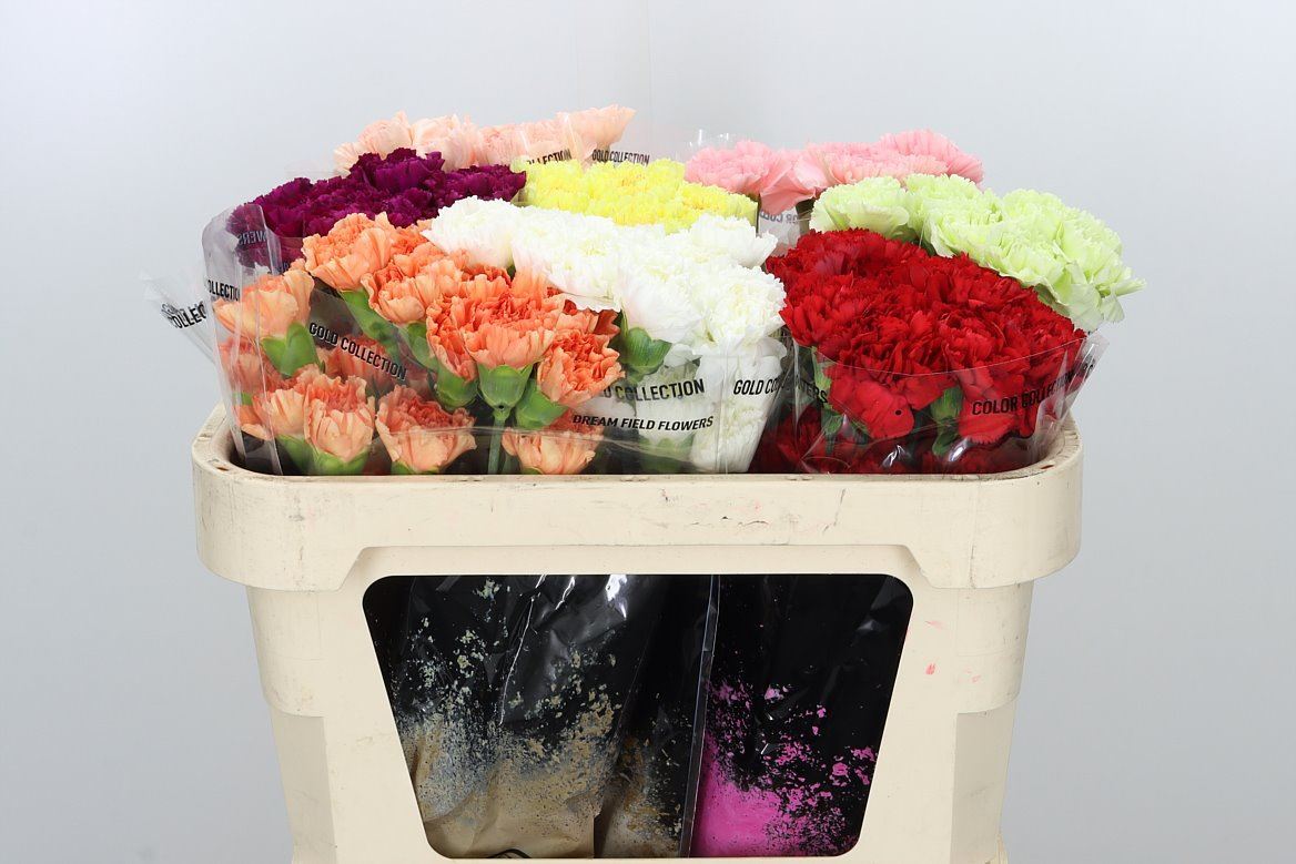 FeedSync:wholesale:92b7e9563a2a7df7caa400a0fa7aa195465f50c4