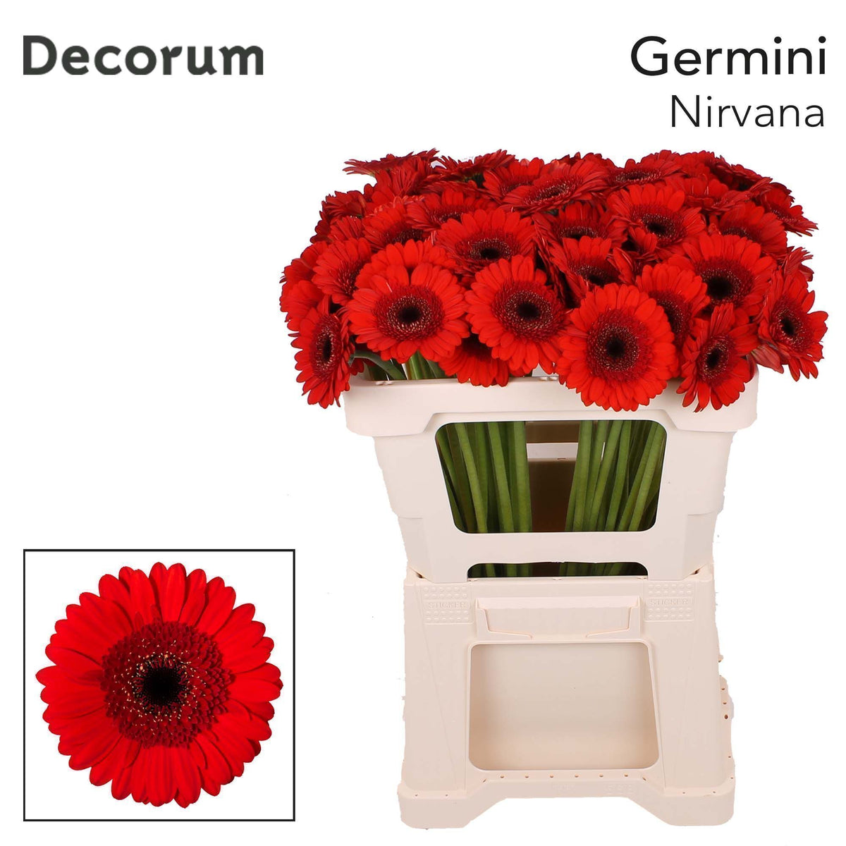 FeedSync:wholesale:c37efb7d8e77b75969dc4550778aaced6e367d71
