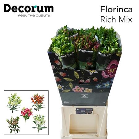 FeedSync:wholesale:6a33e787d104c355a005906485d826444fd9c2cb