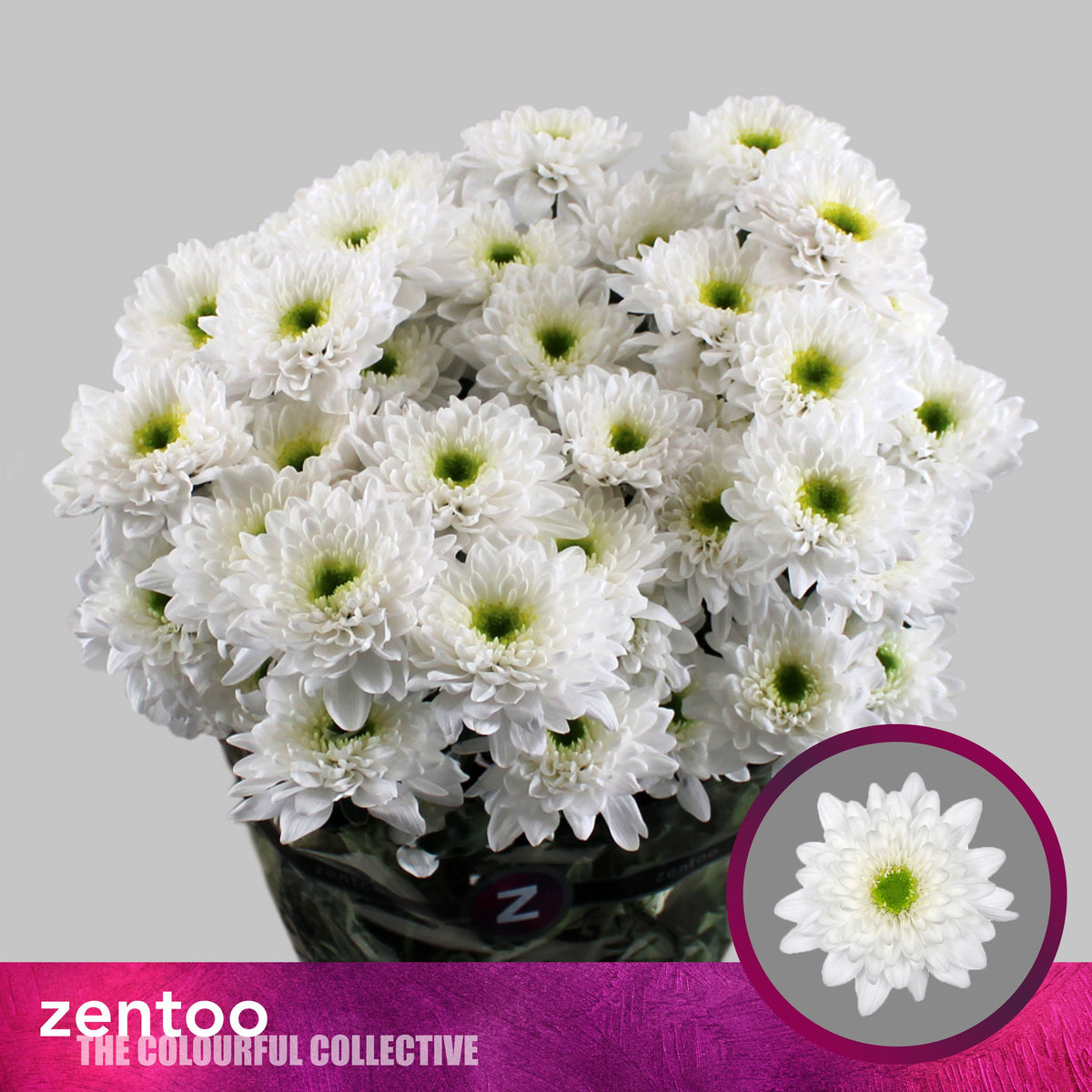 FeedSync:wholesale:8147d2489bde62e96bd5faed9bec8a82ecab4d2f