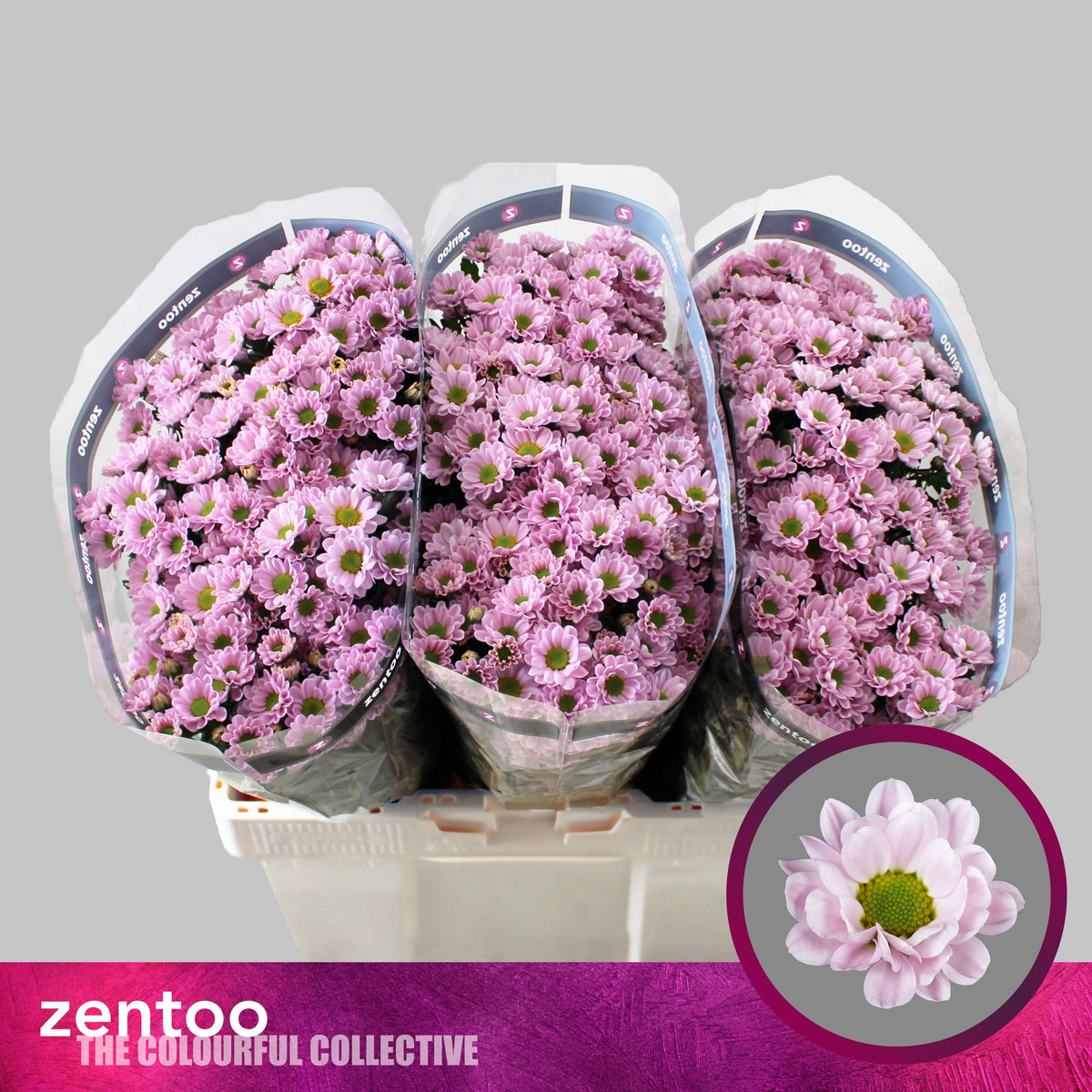 FeedSync:wholesale:adf4e1c99f1b6b1483fdf9d2a16f2f48c48b8b91