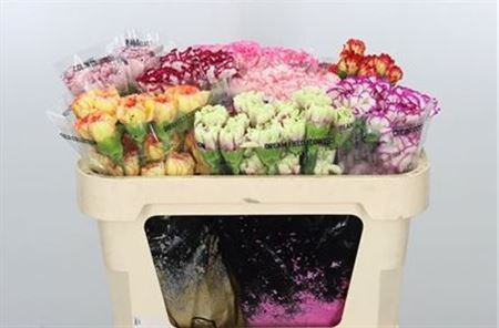 FeedSync:wholesale:fccd6f10c125866c487d84480941d6a231d32ebd