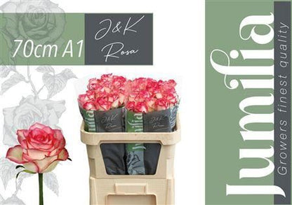 FeedSync:wholesale:c6beb94a05b78985636117c2c7baa7524b9a52f7