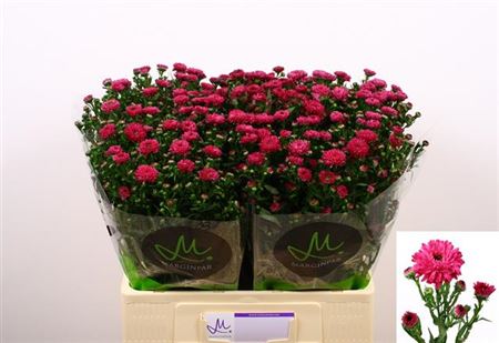 FeedSync:wholesale:15f57cb2f3c533e1b08793e26e7379816359a13c
