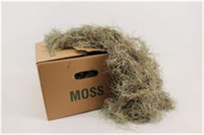 FeedSync:wholesale:9c527af2092f156c4fded65a2a26fdf73e00f339
