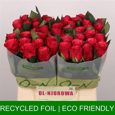 FeedSync:wholesale:43c717cd773de10a05a93df2e2cf5fd34669827d