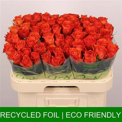 FeedSync:wholesale:5680c5d6a8bcc14bdd78d8580b4a415b62e7d642
