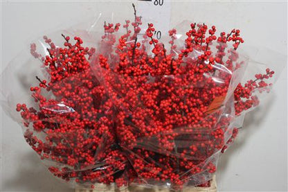 FeedSync:wholesale:c0fb7af24c7194a5f16c11fa6b5aa0674e94b7f6