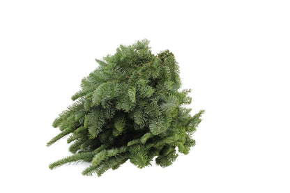 FeedSync:wholesale:b6c97eba90bc42dccd49d5e7ba6f4b2bafb1b105