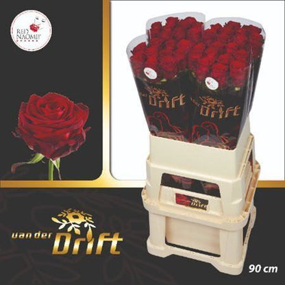 Rose Red Naomi Free Choice