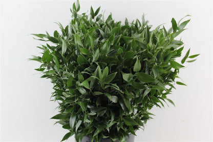 FeedSync:wholesale:71ddc90e992c92ca70dd82b3b902d796ba100d71