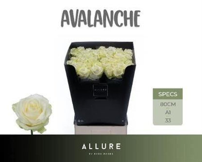 FeedSync:wholesale:9cfcdb4cedd85a23d500878238e7c926ffa00887