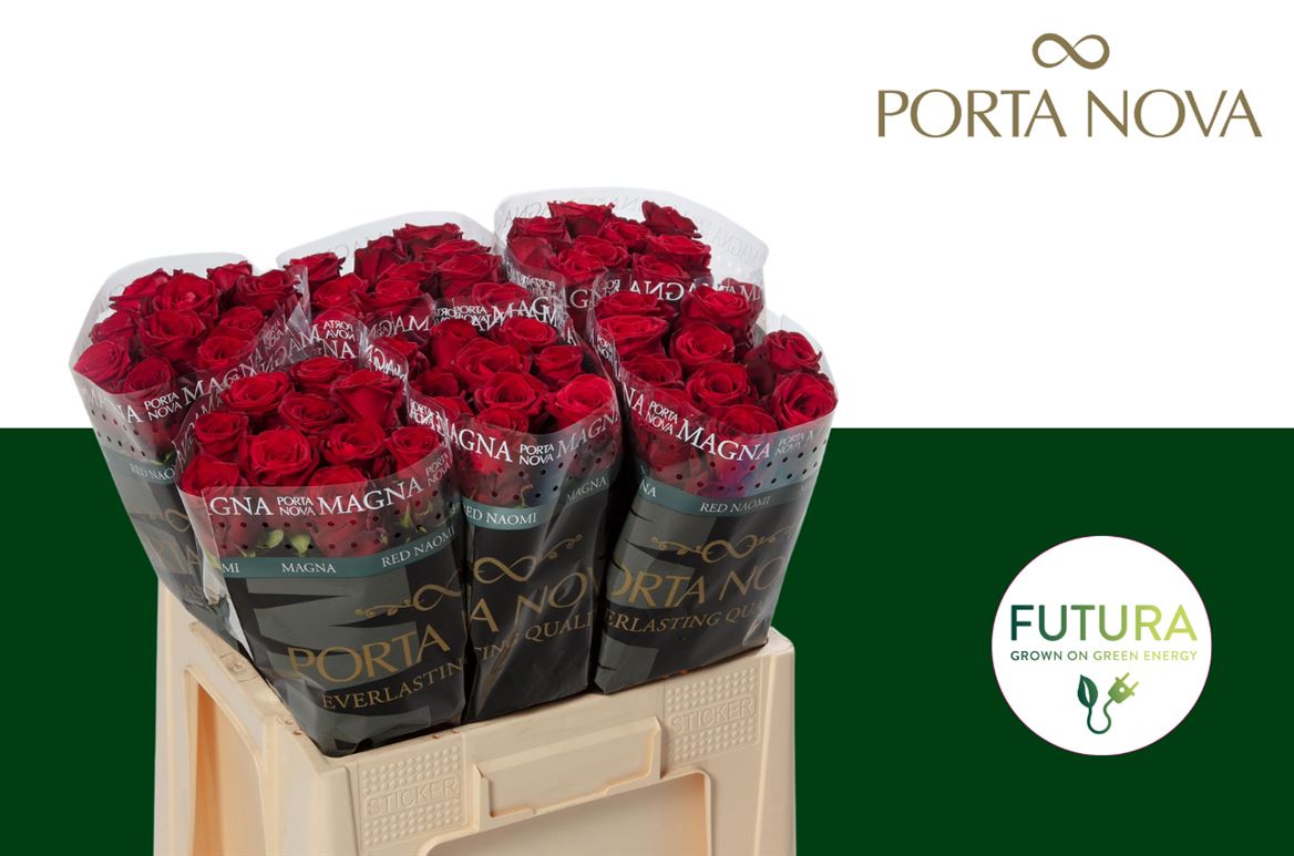 FeedSync:wholesale:55f4857109feb095ea79fd7852b6f492caa5544a