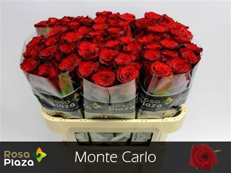 FeedSync:wholesale:d86245947e8d9caf152168ed5d627a5b897cb5e1