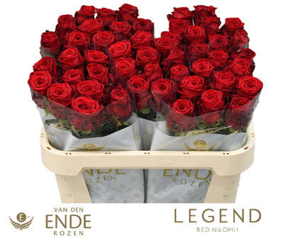 Rose Red Naomi Van Den Ende