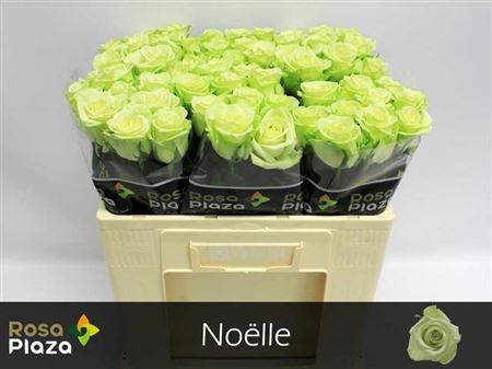 FeedSync:wholesale:9b8c68859cadacb141379a113747b3d9862cea42