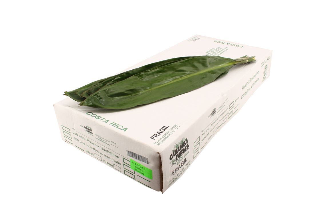 FeedSync:wholesale:d5a3ebbc99db58ca15b6b68fdfb54c864780c570